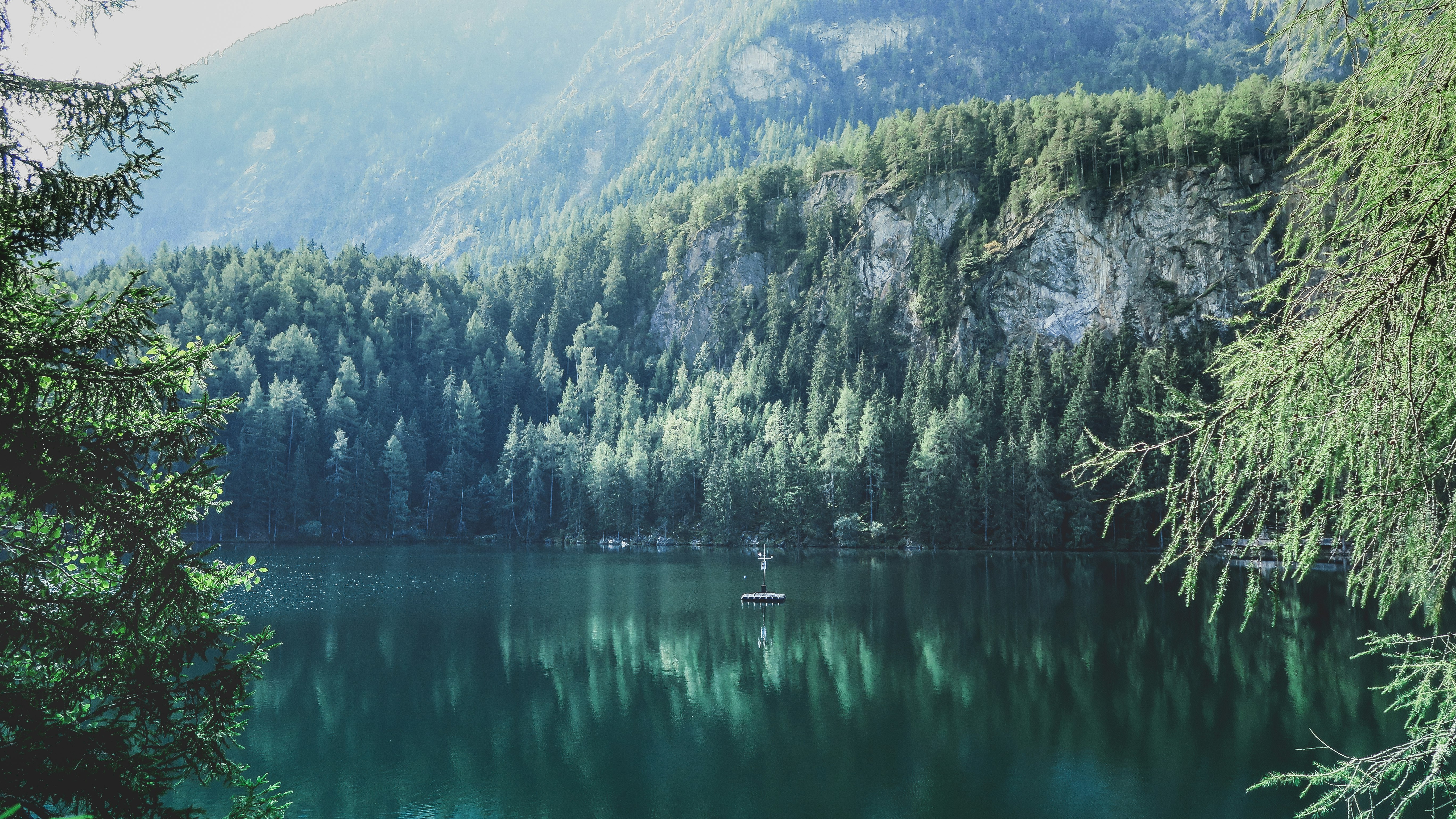 photo of calm body of water surrounded by trees